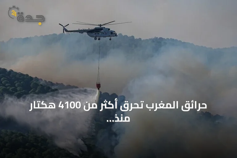 حرائق المغرب تحرق أكثر من 4100 هكتار منذ بداية 2026