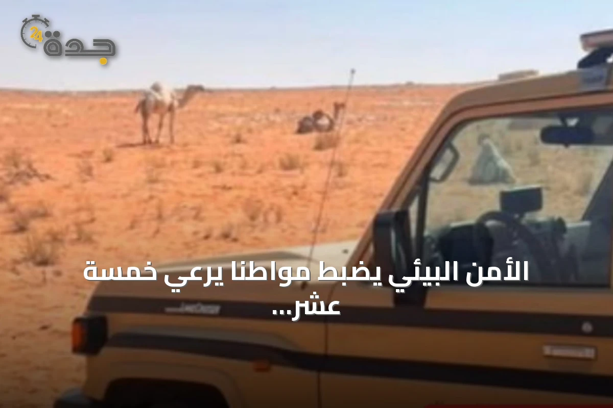 الأمن البيئي يضبط مواطنًا يرعي خمسة عشر متنًا من الإبل داخل محمية الإمام تركي بن Abdullah
