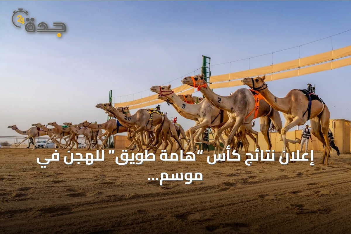 إعلان نتائج كأس “هامة طويق” للهجن في موسم الطائف 2026