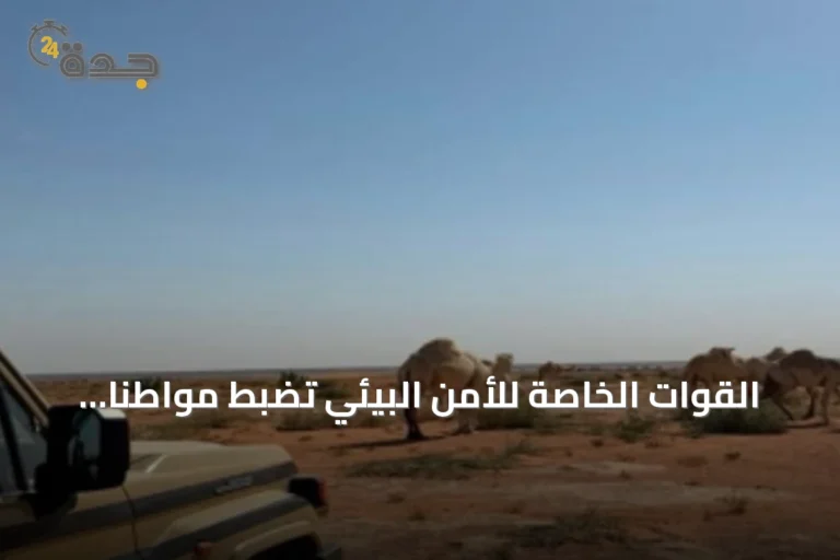 القوات الخاصة للأمن البيئي تضبط مواطنًا يرعى عشر متون من الإبل في مناطق محظورة بالمحمية