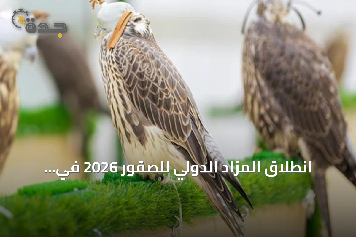 انطلاق المزاد الدولي للصقور 2026 في الرياض بمشاركة محلية وعالمية