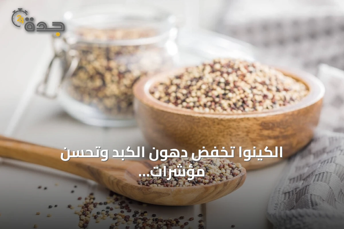 الكينوا تخفض دهون الكبد وتحسّن مؤشرات الدم في تجارب الفئران