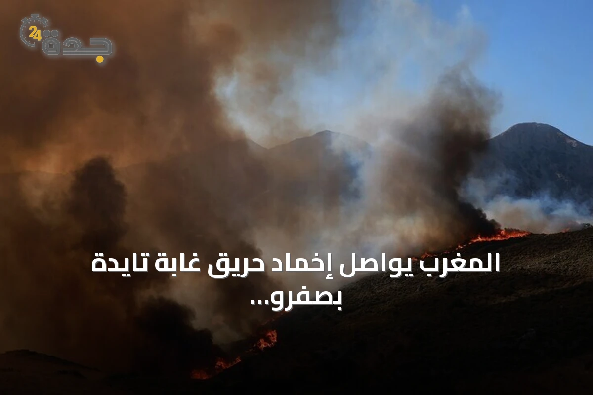 المغرب يواصل إخماد حريق غابة تايدة بصفرو بعد اتساعه لـ120 هكتار