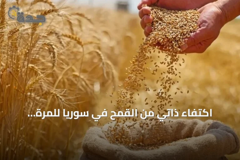 اكتفاء ذاتي من القمح في سوريا للمرة الأولى منذ سنوات