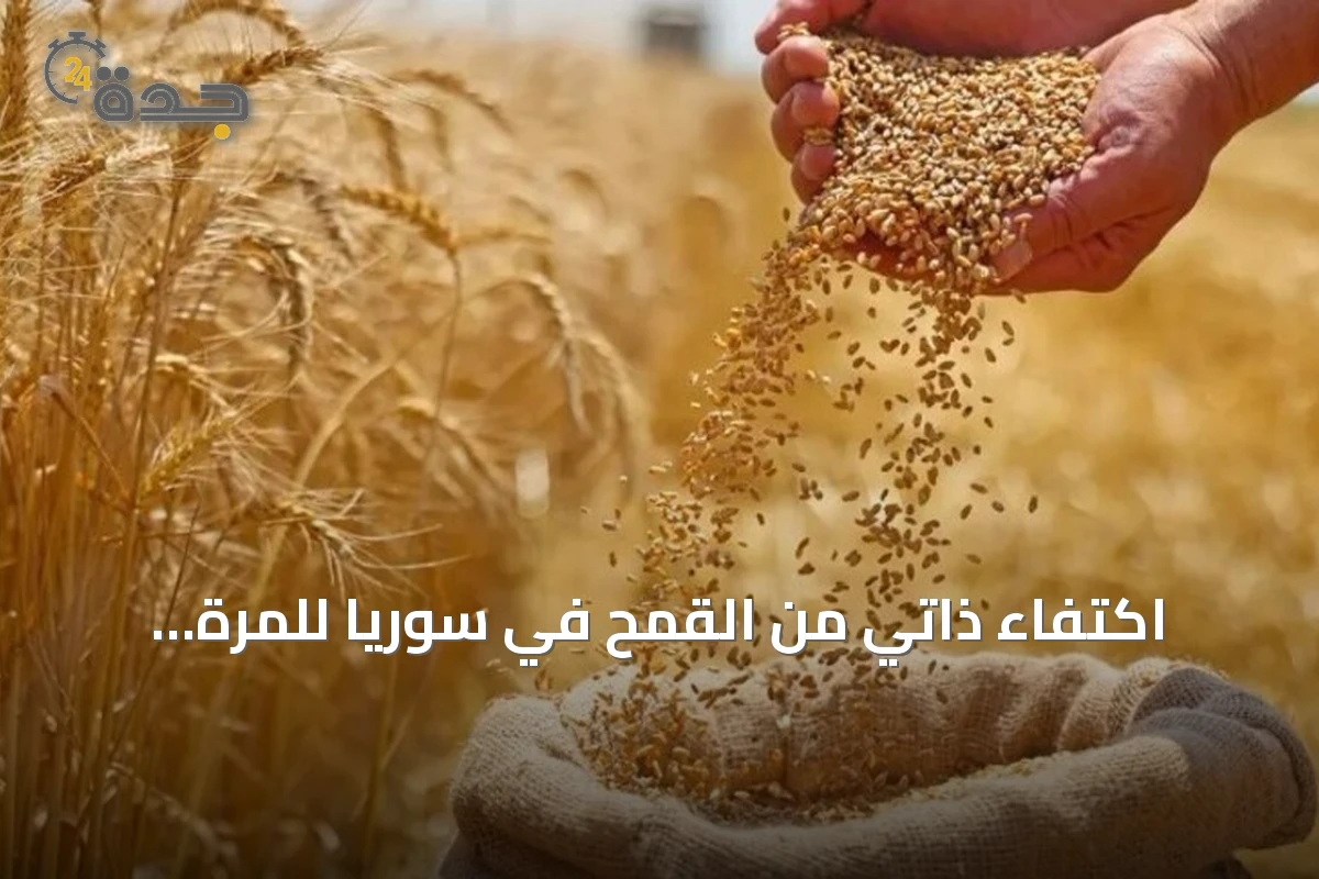 اكتفاء ذاتي من القمح في سوريا للمرة الأولى منذ سنوات