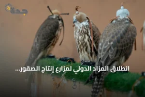 انطلاق المزاد الدولي لمزارع إنتاج الصقور 2026 في الرياض بمشاركة واسعة 2 article 159242