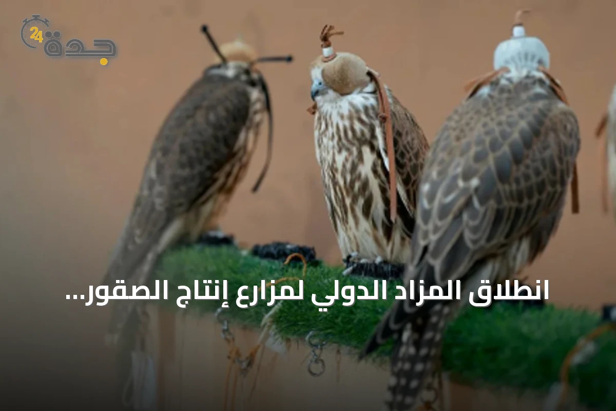انطلاق المزاد الدولي لمزارع إنتاج الصقور 2026 في الرياض بمشاركة واسعة