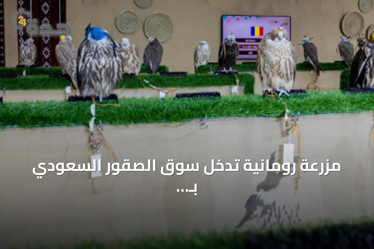 مزرعة رومانية تدخل سوق الصقور السعودي بـ 120 طائراً في أول ظهور لها بالمزاد الدولي