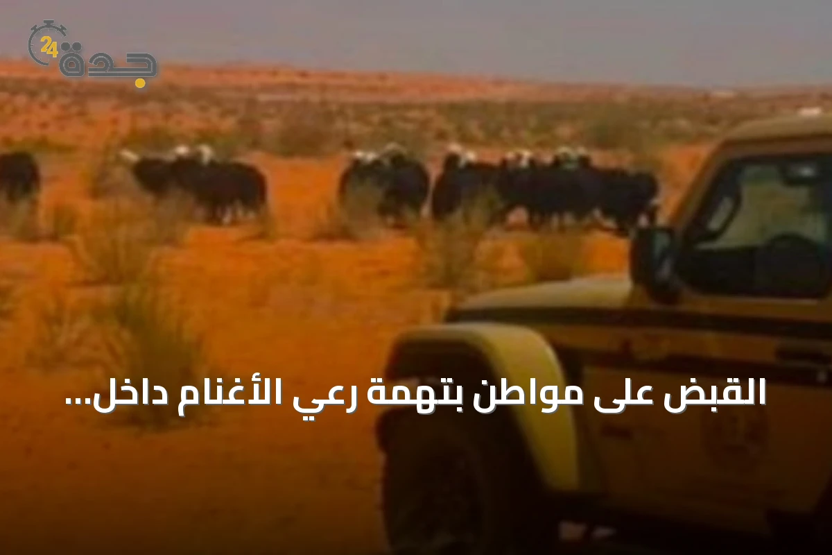 القبض على مواطن بتهمة رعي الأغنام داخل محمية الإمام تركي بن عبدالله