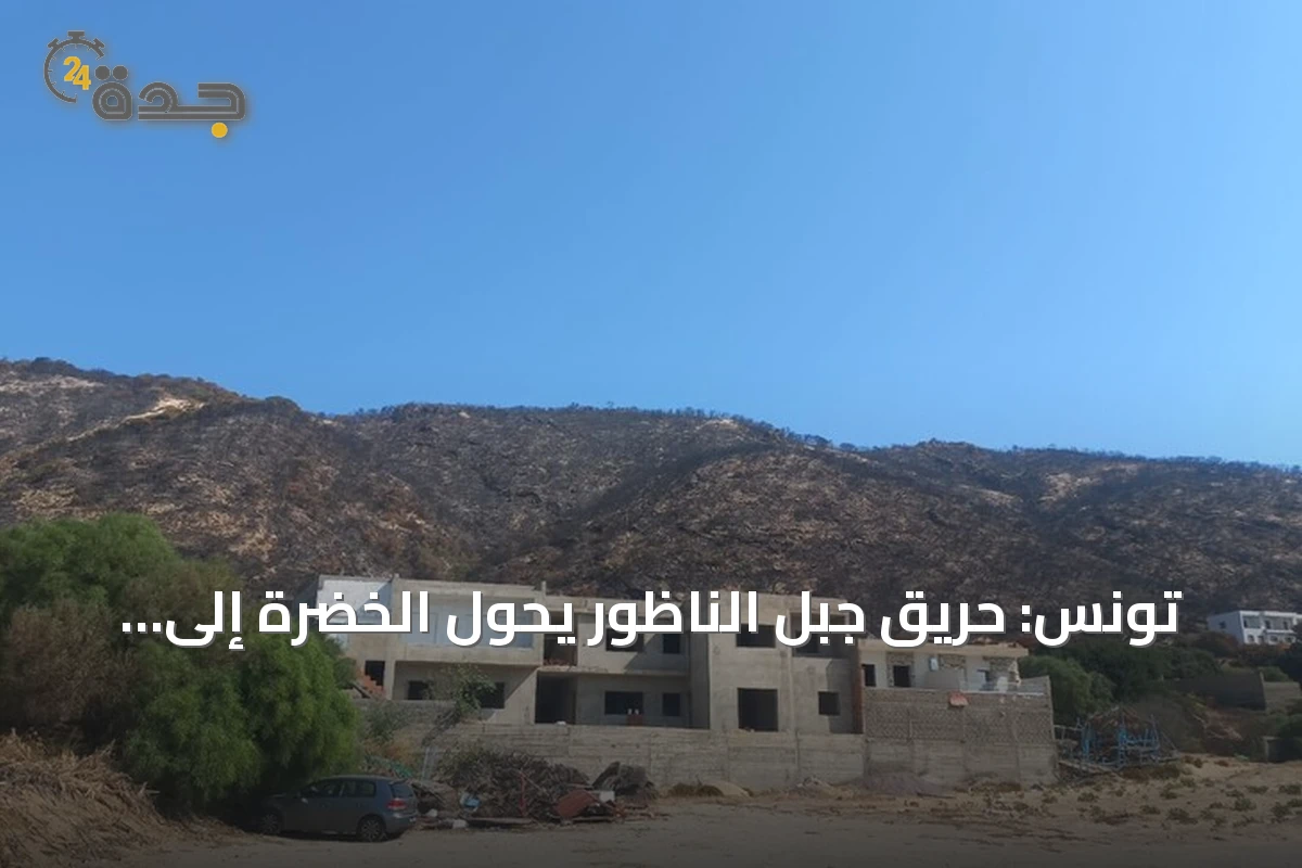 تونس: حريق جبل الناظور يحوّل الخضرة إلى رماد ويترك جرحاً بيئياً عميقاً