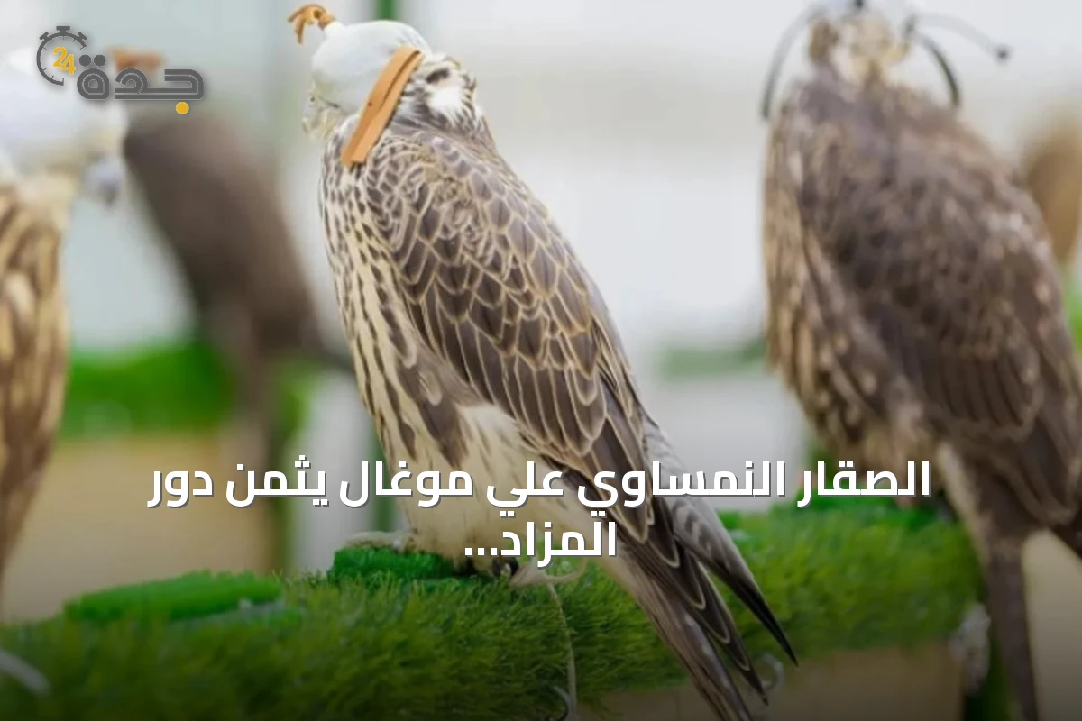 الصقار النمساوي علي موغال يثمن دور المزاد الدولي للصقور في بناء ثقة المزارع الأوروبية