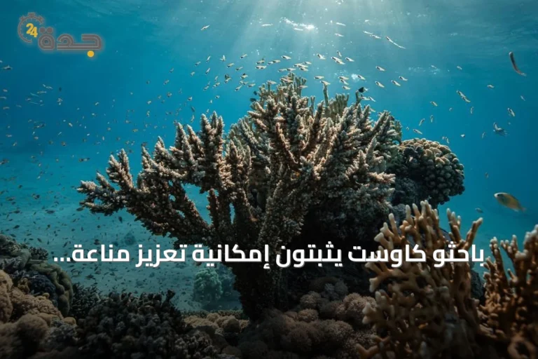 باحثو كاوست يثبتون إمكانية تعزيز مناعة المرجان ضد الأمراض عبر التهيئة الميكروبية