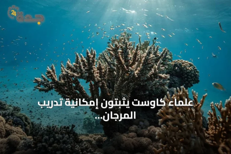 علماء كاوست يثبتون إمكانية تدريب المرجان على مقاومة الأمراض