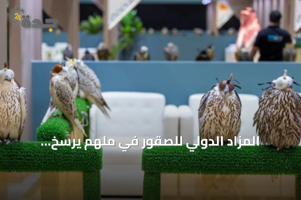 المزاد الدولي للصقور في مَلهم يرسّخ مكانته محفزاً للاقتصاد المرتبط بالصقارة