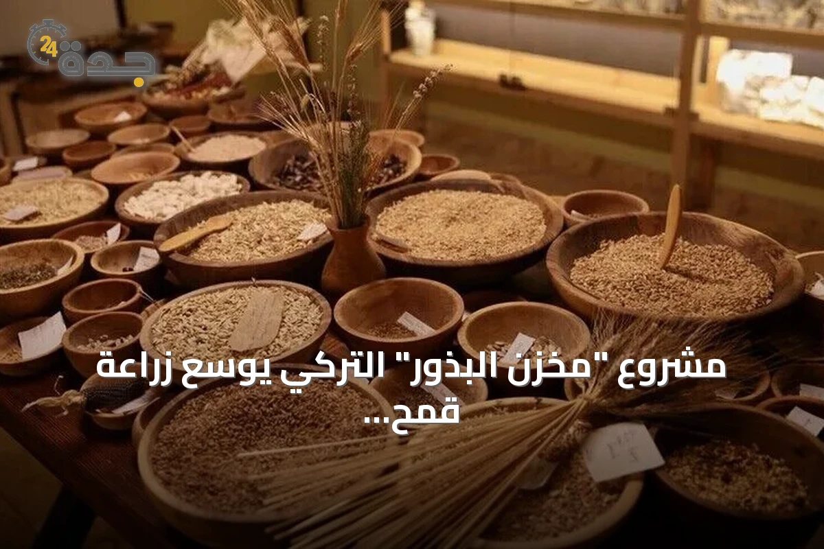 مشروع "مخزن البذور" التركي يوسع زراعة قمح يعود لأصل البشرية قبل 12 ألف عام