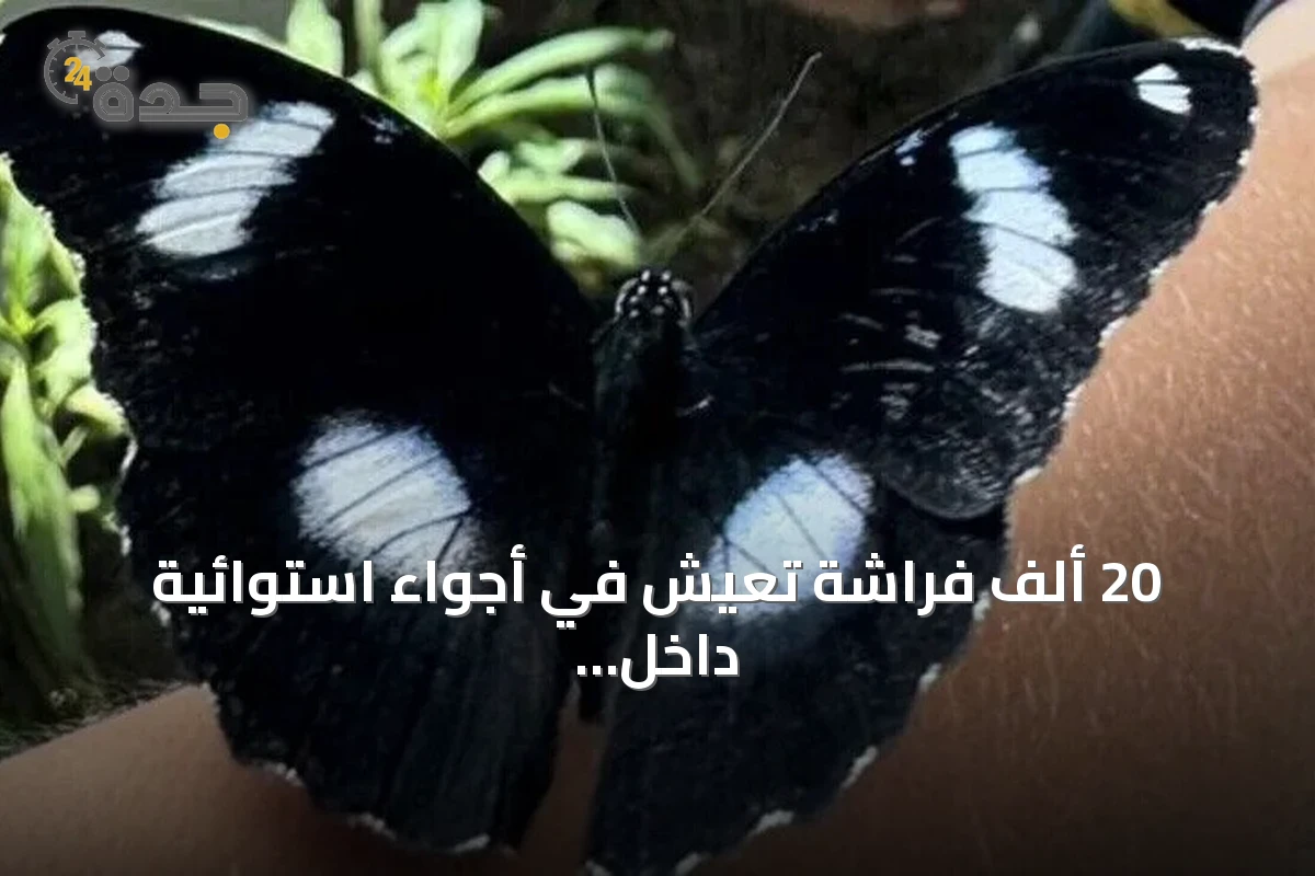 20 ألف فراشة تعيش في أجواء استوائية داخل حديقة بأنطاليا التركية