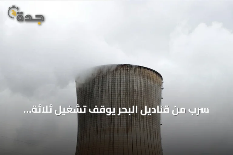سرب من قناديل البحر يوقف تشغيل ثلاثة مفاعلات نووية في فرنسا