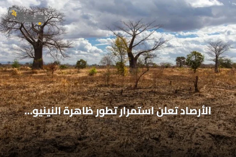 الأرصاد تُعلن استمرار تطور ظاهرة النينيو ومؤشرها يسجل +2.02 درجة مئوية 5 article 183618
