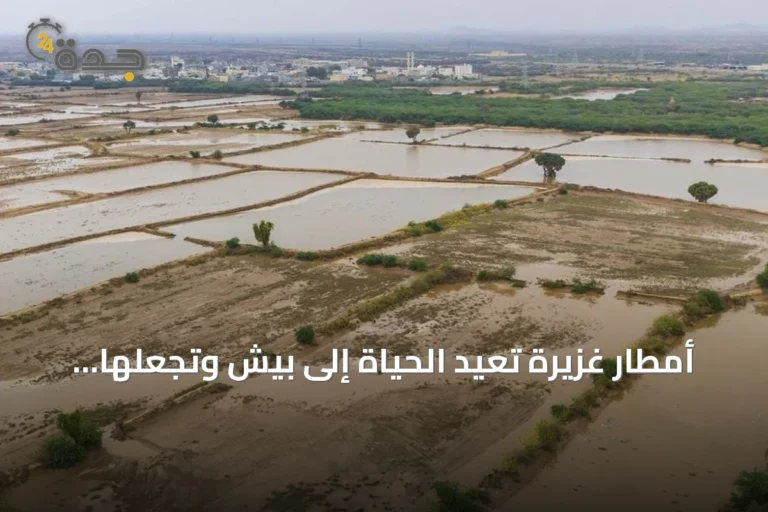 أمطار غزيرة تعيد الحياة إلى بيش وتجعلها مقصداً للسياحة الداخلية