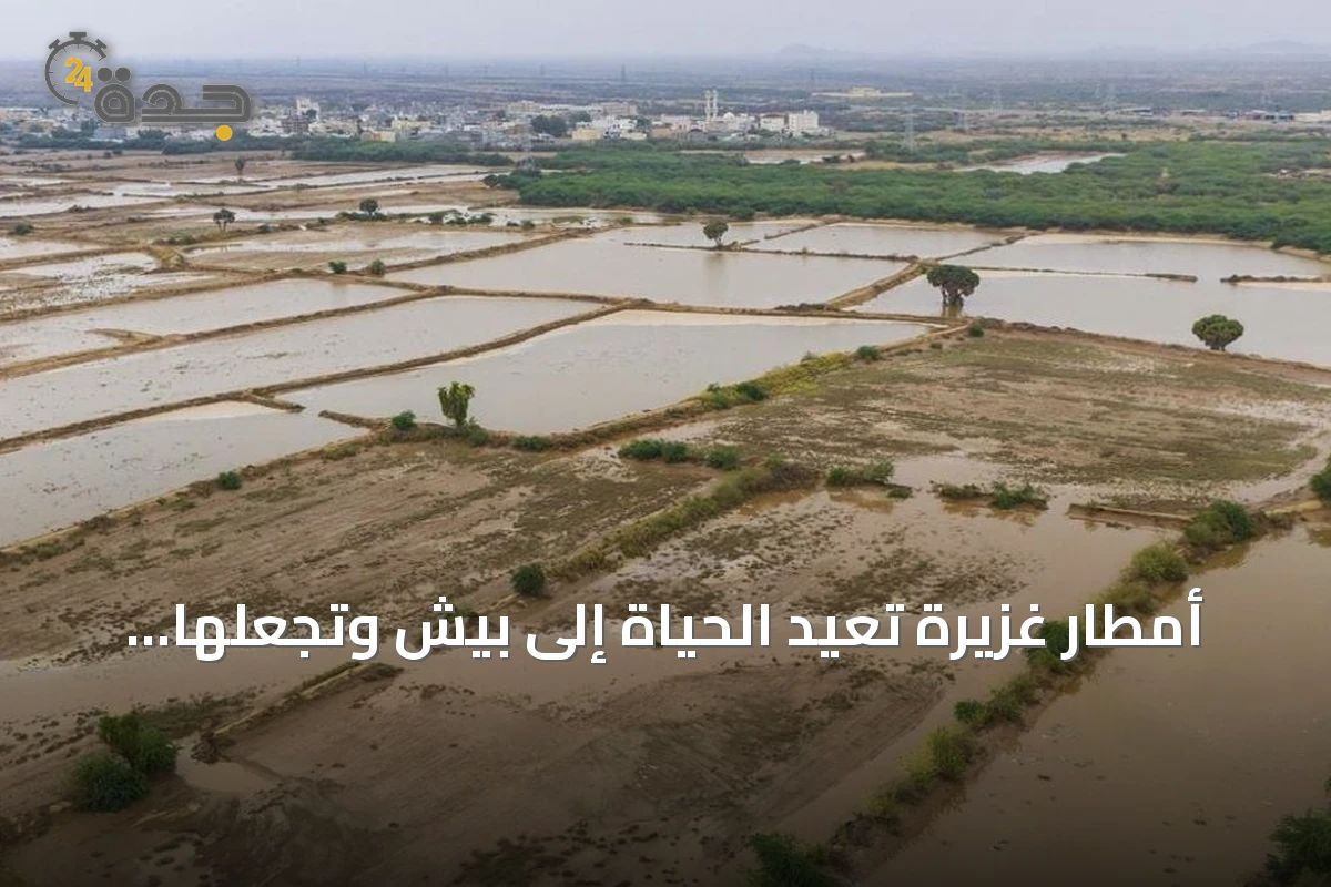 أمطار غزيرة تعيد الحياة إلى بيش وتجعلها مقصداً للسياحة الداخلية