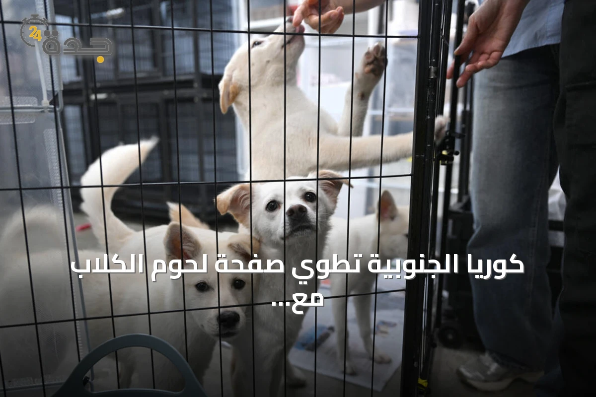 كوريا الجنوبية تطوي صفحة لحوم الكلاب مع بدء سريان حظر التربية والذبح والبيع