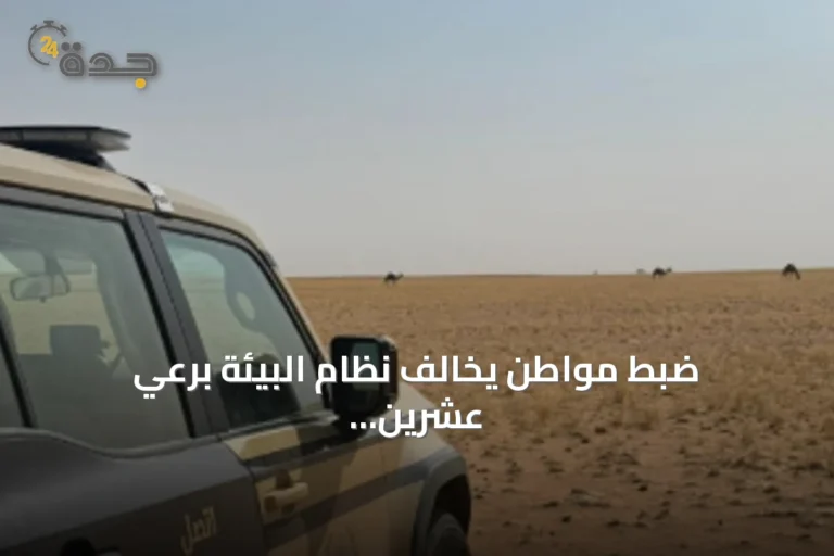 ضبط مواطن يخالف نظام البيئة برعي عشرين متنًا من الإبل داخل محمية الملك عبدالعزيز