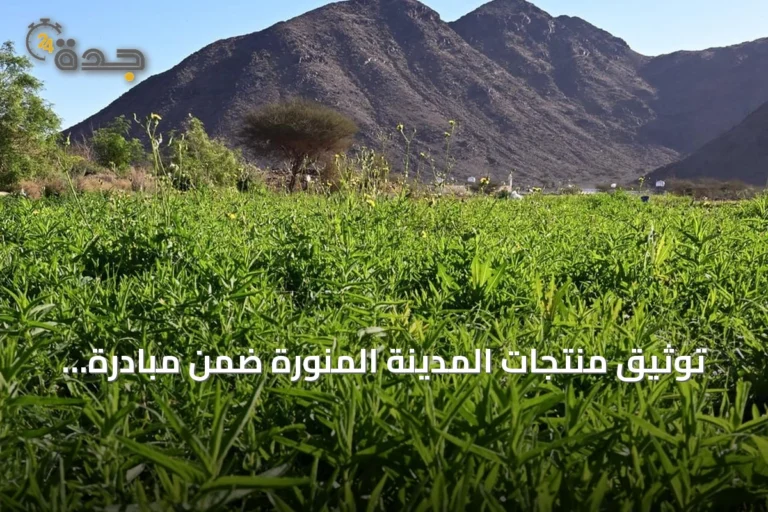 توثيق منتجات المدينة المنورة ضمن مبادرة سفينة التذوق العالمية