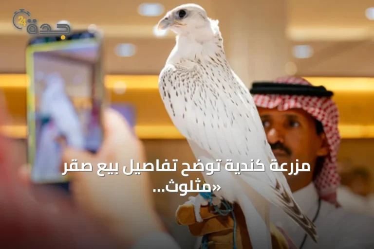 مزرعة كندية توضح تفاصيل بيع صقر «مثلوث الجير» بسعر 1.3 مليون ريال