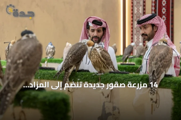 14 مزرعة صقور جديدة تنضم إلى المزاد الدولي في ملهم وتوسّع قاعدة المشاركين العالميين