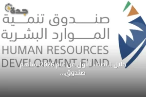 خلال النصف الأول من عام 2026، ساهم صندوق تنمية الموارد البشرية في توظيف 329 ألف سعودي 3 article 193820