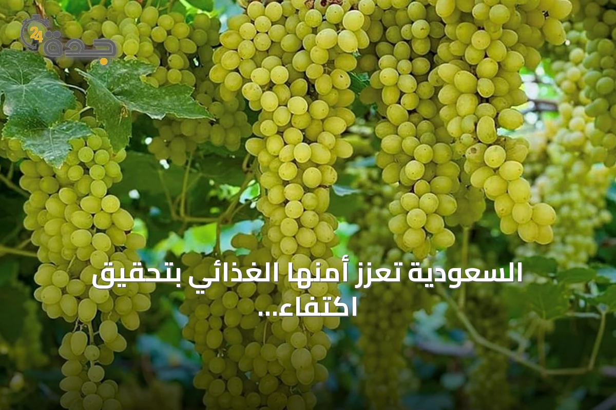 السعودية تعزز أمنها الغذائي بتحقيق اكتفاء ذاتي متزايد من الفواكه