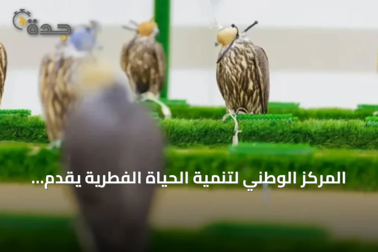المركز الوطني لتنمية الحياة الفطرية يقدّم خدمات بيطرية متكاملة للصقور في المزاد الدولي 2026