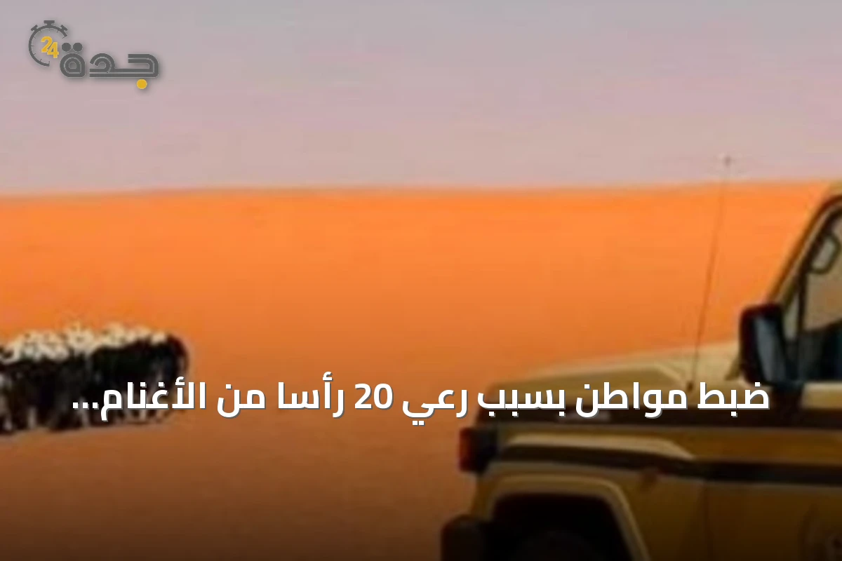 ضبط مواطن بسبب رعي 20 رأساً من الأغنام داخل مناطق محظورة بمحمية الإمام تركي بن Abdullah
