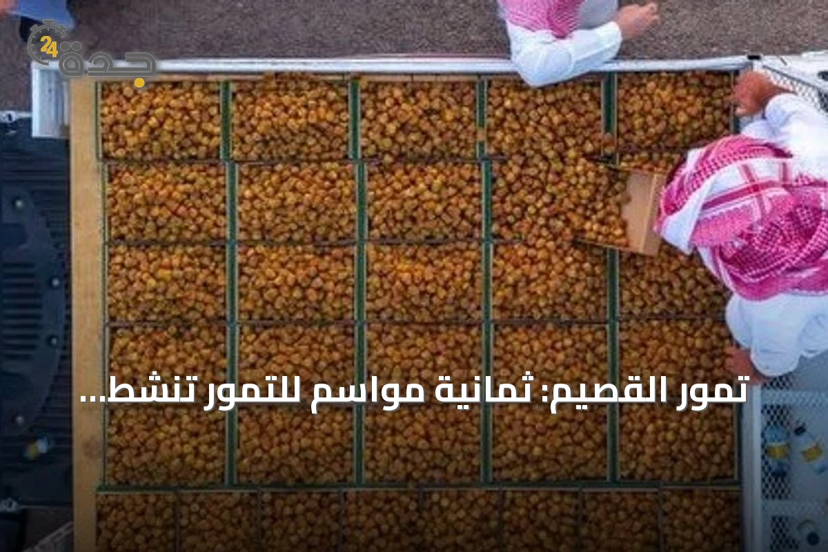 تمور القصيم: ثمانية مواسم للتمور تنشط الاقتصاد والسياحة بالمنطقة