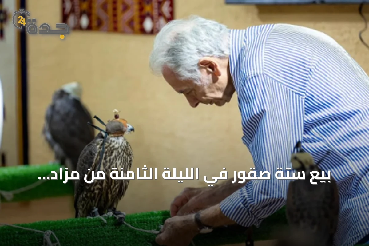 بيع ستة صقور في الليلة الثامنة من مزاد الصقور الدولي 2026 بقيمة 312 ألف ريال