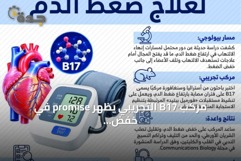 مركب B17 التجريبي يُظهر promise في خفض ضغط الدم وإصلاح الأنسجة
