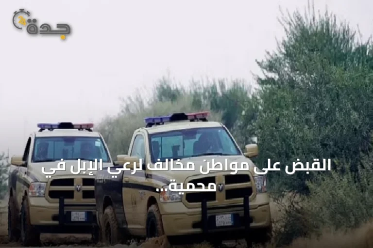 القبض على مواطن مخالف لرعي الإبل في محمية الإمام تركي بن Abdullah وتطبيق العقوبة