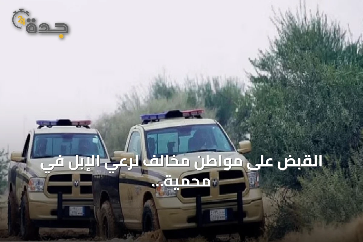 القبض على مواطن مخالف لرعي الإبل في محمية الإمام تركي بن Abdullah وتطبيق العقوبة
