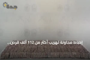 إحباط محاولة تهريب أكثر من 112 ألف قرص طبي بجازان 4 article 201186