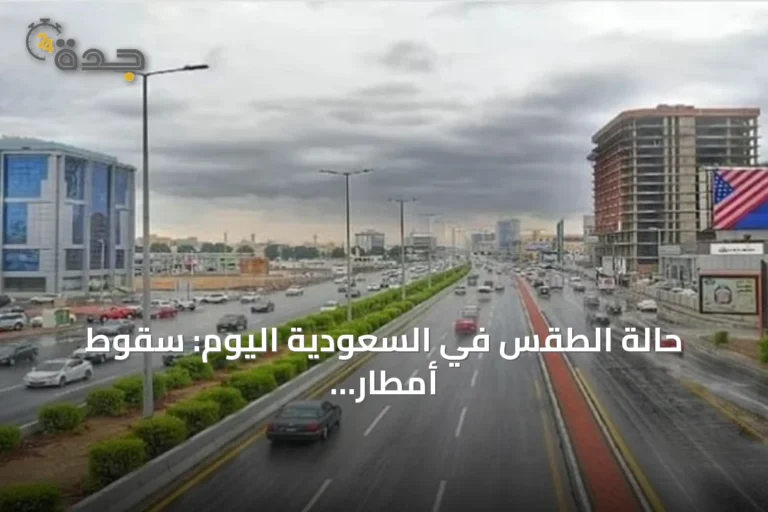 حالة الطقس في السعودية اليوم: سقوط أمطار رعدية مع رياح قوية في عدة مناطق