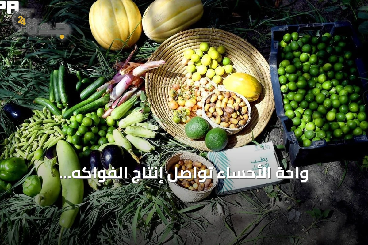 واحة الأحساء تواصل إنتاج الفواكه والخضروات الصيفية المتنوعة رغم ارتفاع الحرارة
