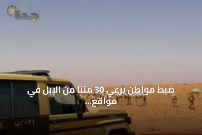 ضبط مواطن يرعي 30 متنًا من الإبل في مواقع محظورة بمحمية الإمام تركي بن Abdullah