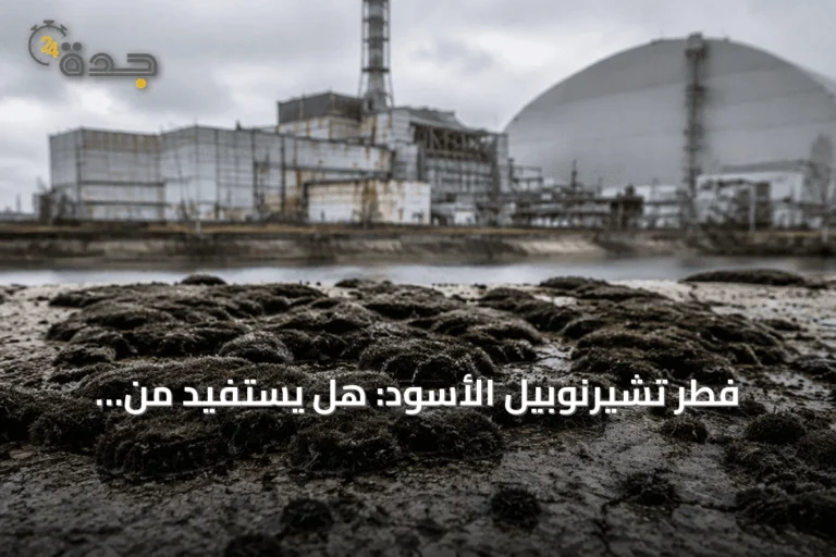 فطر تشيرنوبيل الأسود: هل يستفيد من الإشعاع أم مجرد مقاومة؟