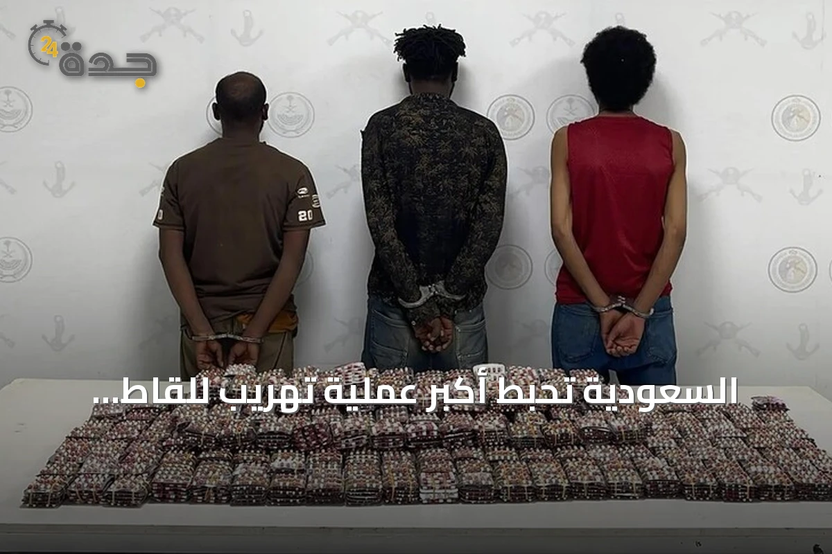 السعودية تُحبط أكبر عملية تهريب للقاط والحشيش وتوقف نحو ألفي شخص