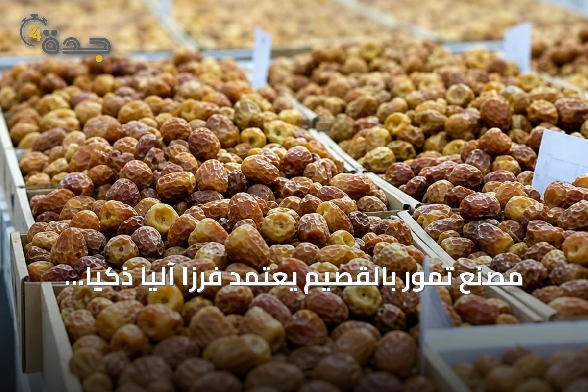 مصنع تمور بالقصيم يعتمد فرزًا آليًا ذكيًا بسعة تصل إلى أربعة أطنان في الساعة