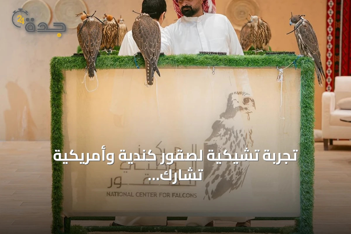 تجربة تشيكية لصقور كندية وأمريكية تشارك في المزاد الدولي بالرياض 2026