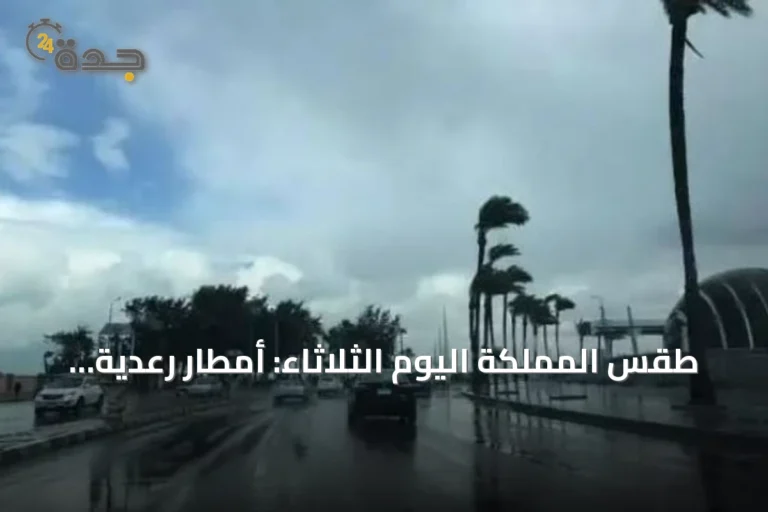 طقس المملكة اليوم الثلاثاء: أمطار رعدية وزخات برد مع رياح نشطة في عدة مناطق