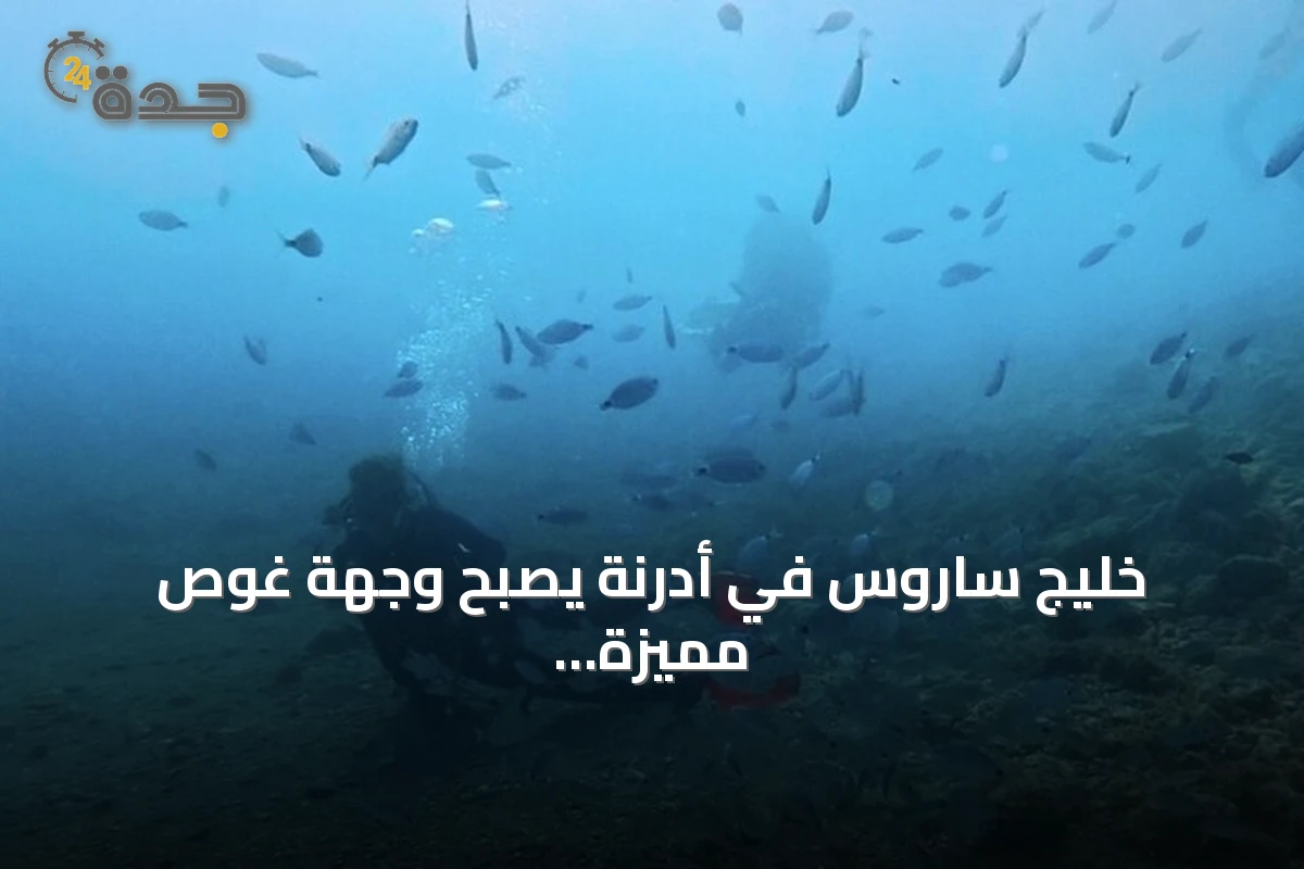 خليج ساروس في أدرنة يصبح وجهة غوص مميزة بفضل الشعاب الاصطناعية