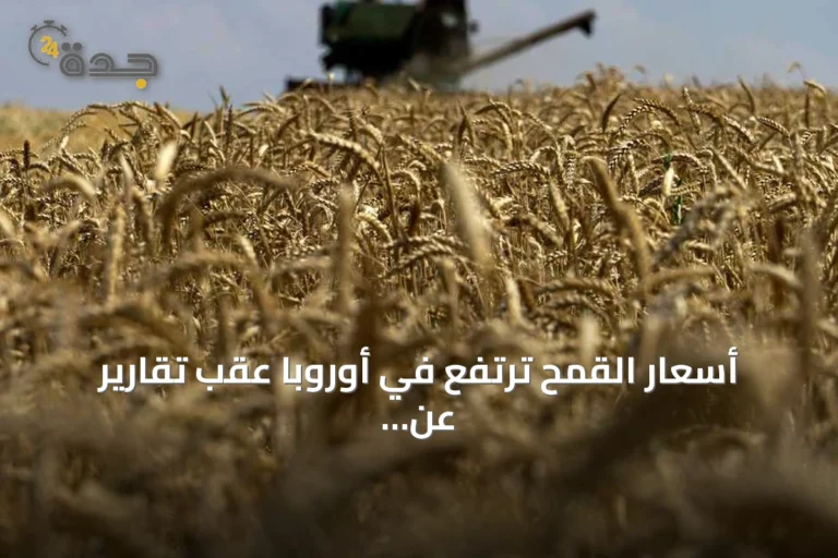 أسعار القمح ترتفع في أوروبا عقب تقارير عن تصعيد روسي