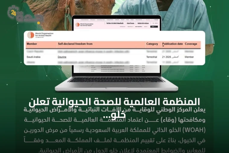 المنظمة العالمية للصحة الحيوانية تعلن خلو السعودية من مرض الدورين في الخيول